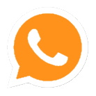 Whatsapp Icon